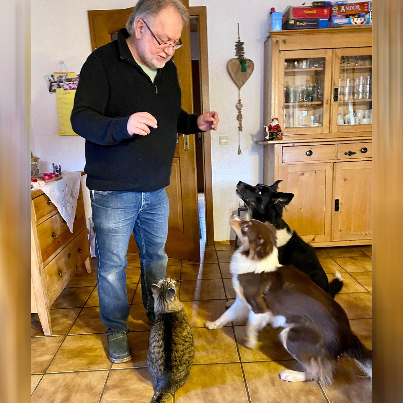 Raubtierfütterung