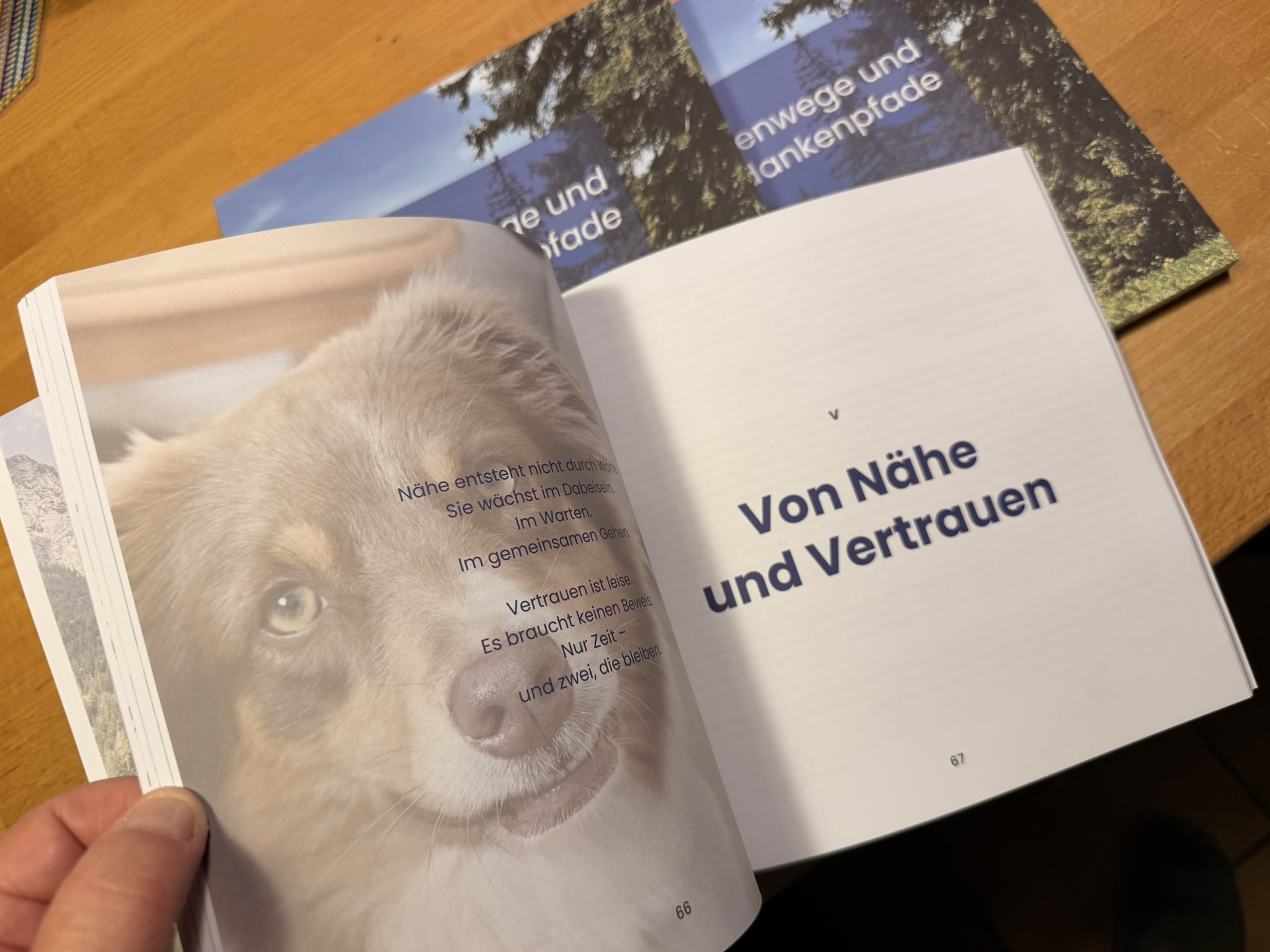 Etwas Inhalt