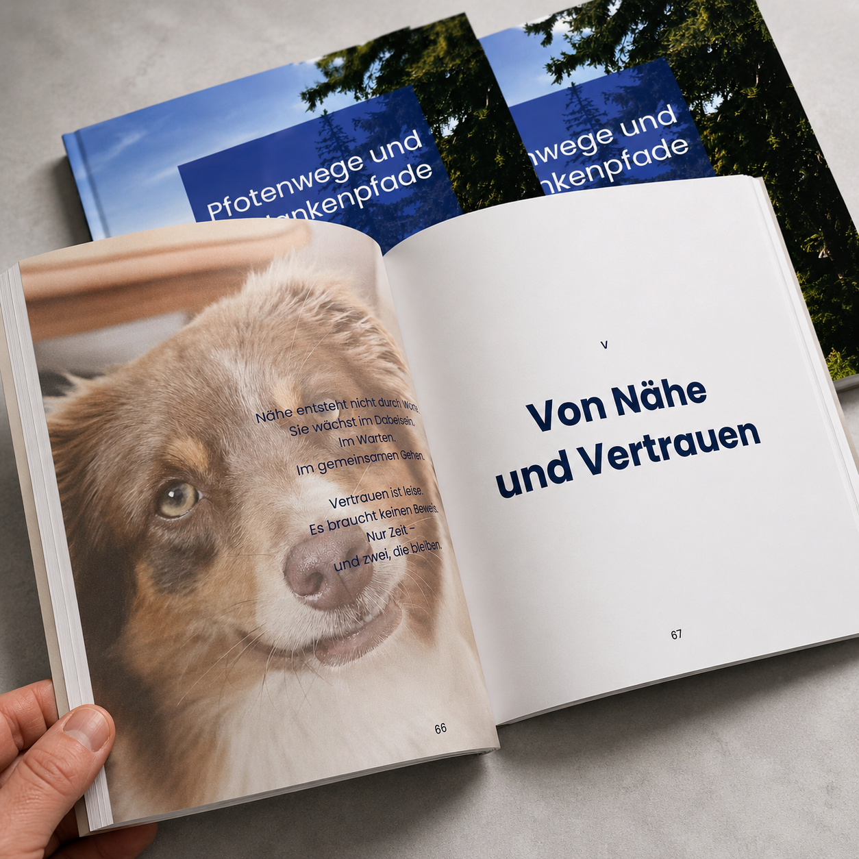 buch_2.png