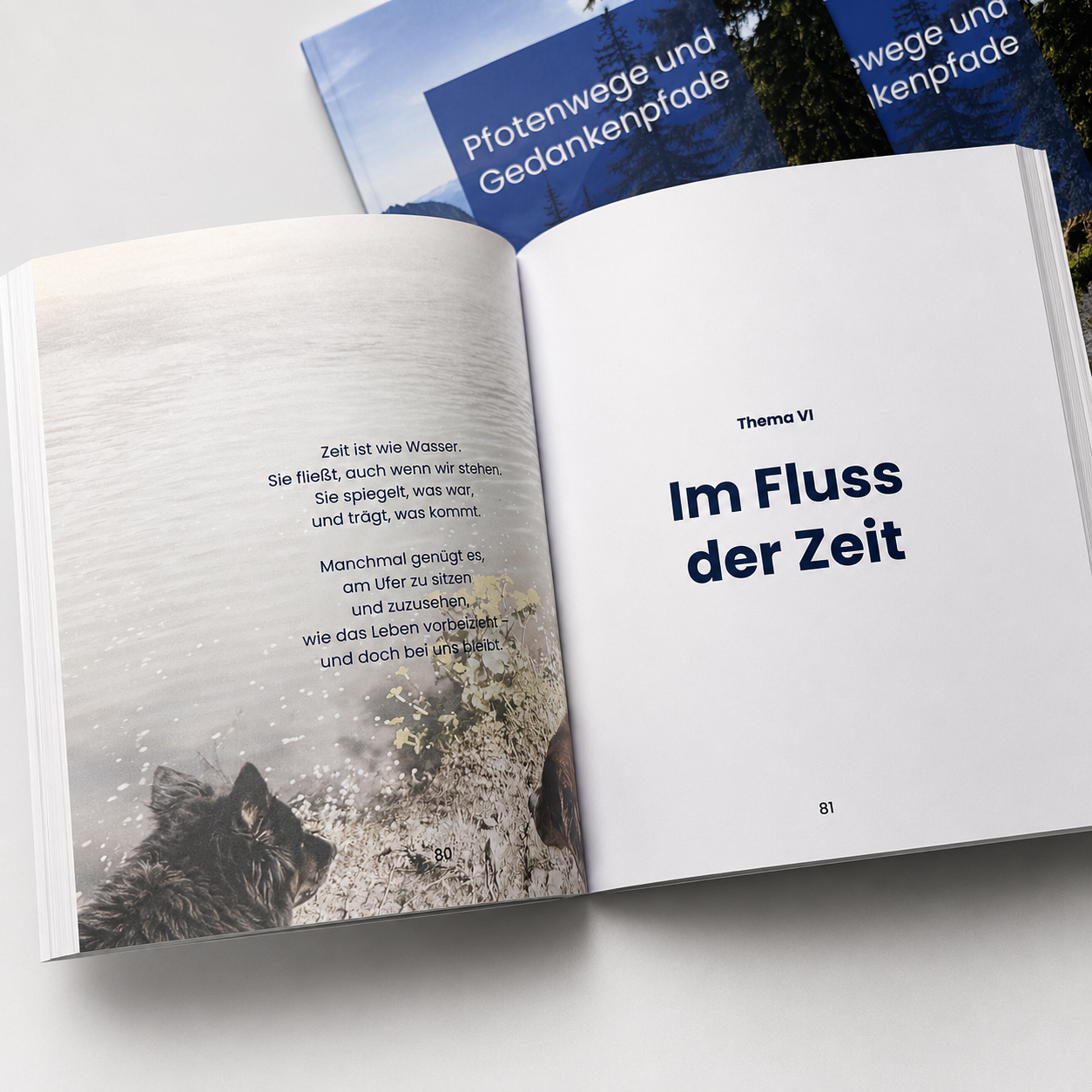 buch_3.png